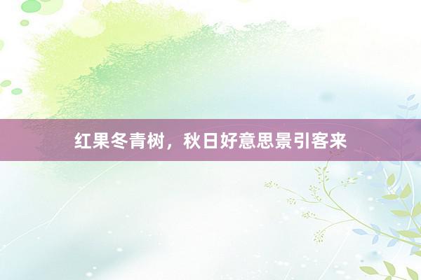 红果冬青树，秋日好意思景引客来