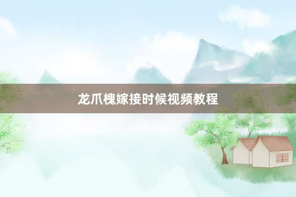 龙爪槐嫁接时候视频教程