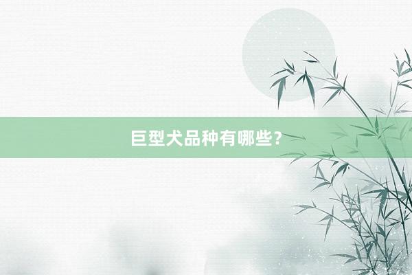 巨型犬品种有哪些？